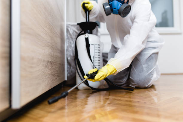 Best Emergency Pest Control  in Raceland, KY