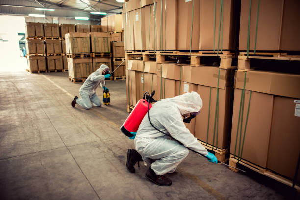 Best Pest Removal Services  in Raceland, KY