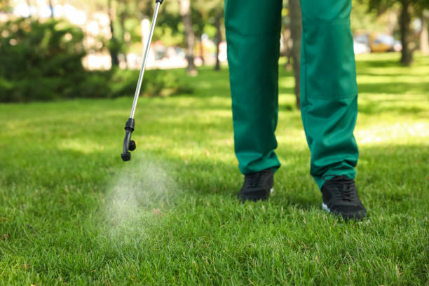 Best Best Pest Control Companies  in Raceland, KY